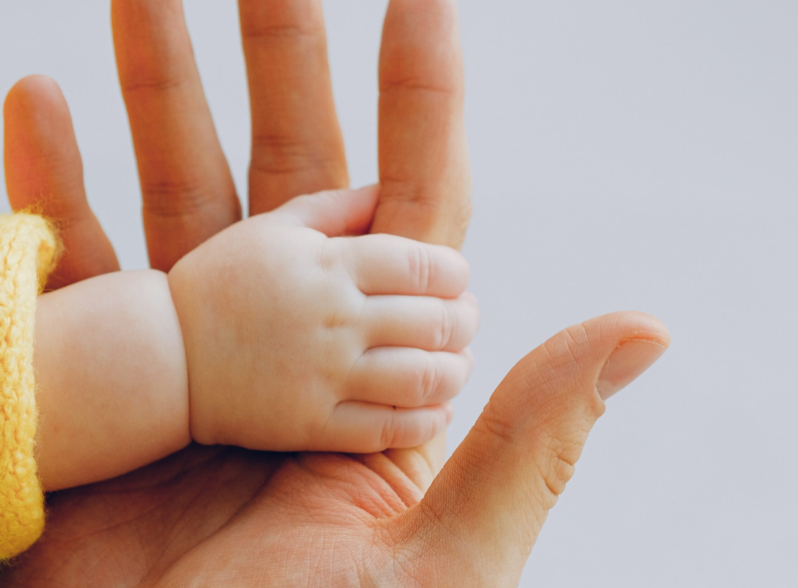 Baby holding adult hand
